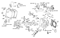 Cylinder Head Cover & Cylinder Head