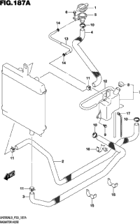 Radiator Hose
