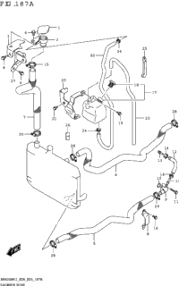 Radiator Hose