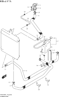Radiator Hose