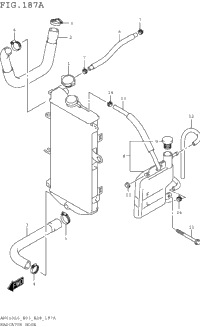Radiator Hose