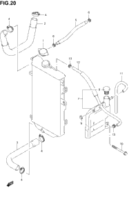 Radiator Hose