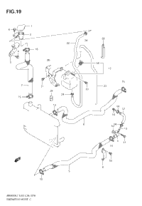 Radiator Hose