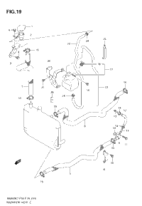 Radiator Hose