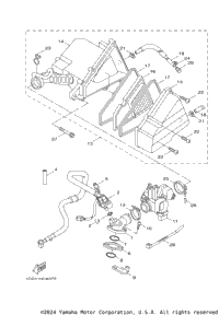Intake