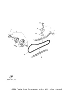 Camshaft & Chain