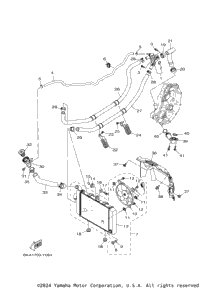 Radiator & Hose