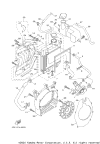 Radiator Hose