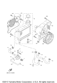 Radiator Hose