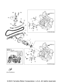 Camshaft & Chain