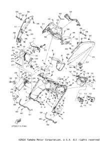 Leg Shield