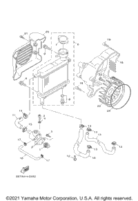 Radiator Hose