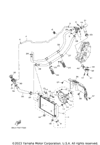 Radiator & Hose