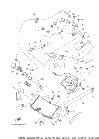 Radiator Hose