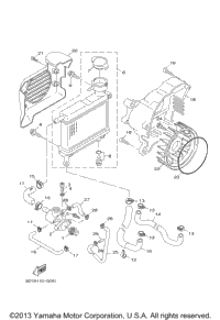 Radiator Hose