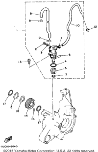 Oil Pump