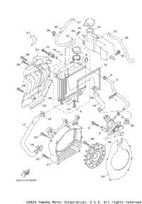 Radiator Hose