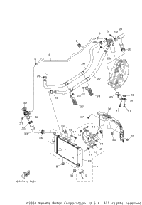 Radiator Hose