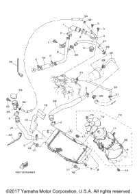 Radiator Hose