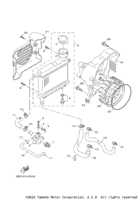 Radiator Hose