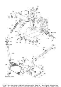 Radiator Hose
