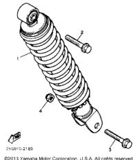 Rear Shocks