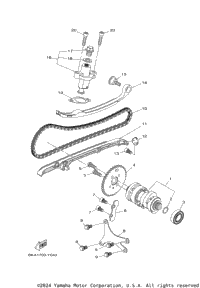 Camshaft & Chain