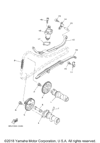 Camshaft Chain