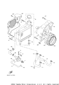 Radiator Hose