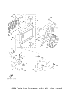 Radiator Hose