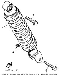 Rear Shocks