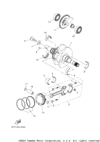 Crankshaft & Piston