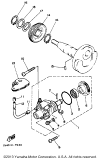 Oil Pump