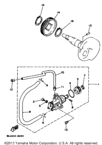 Oil Pump