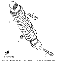 Rear Shocks