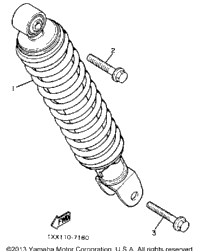 Rear Shocks