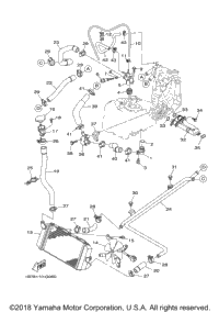 Radiator Hose