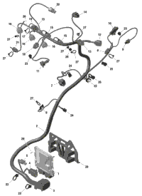 Rotax - Engine Harness And Electronic Module