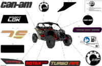 Body - Decals