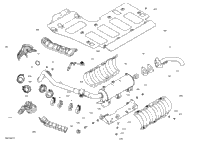 Engine - Exhaust