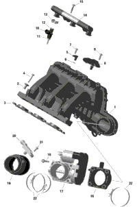 Rotax - Air Intake Manifold And Throttle Body