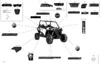 Decals - 1000R - Package Dps