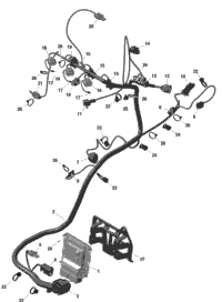 Rotax - Engine Harness And Electronic Module - Turbo Rr