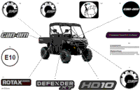 Body - Decals