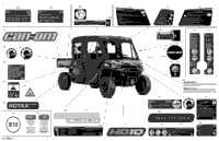 Body - Decals