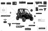 Decals - 1000 - Ltd