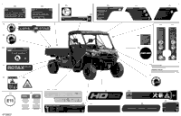 Body - Decals