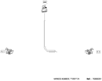 Electric - Taillight Wiring Harness