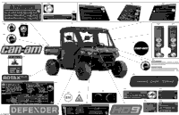 Body - Decals