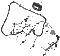 Rotax - Engine Harness And Electronic Module